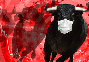 Return of the Bull